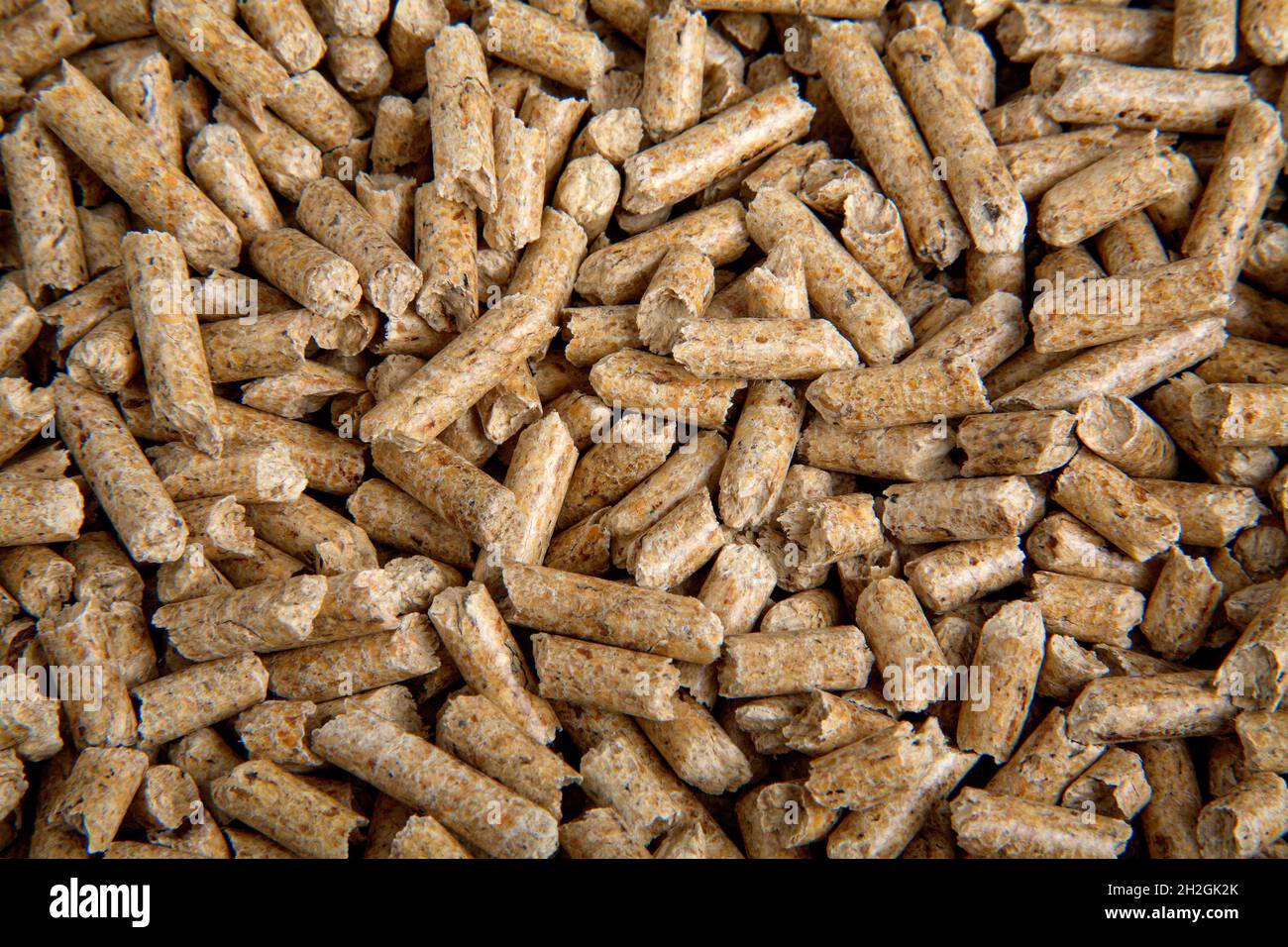 Holzpellets Stockfoto