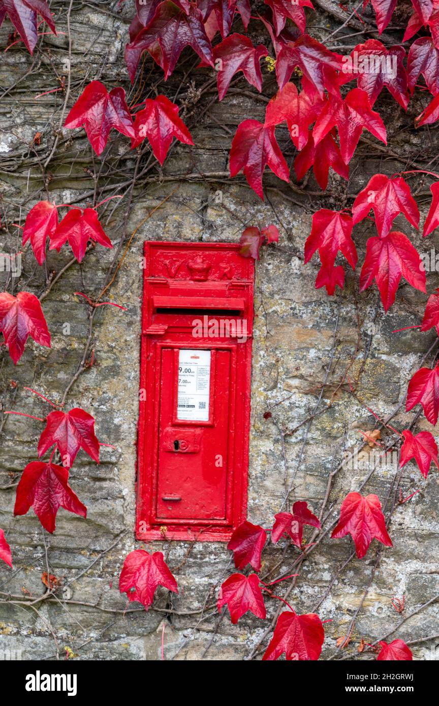 Eine von Mauern umgebene rote Briefkastenbox von Royal Mail, umgeben von Herbstfärbeefeu an einer Wand eines der Cottages im Weiler Thwaite in Swaledale, Teil von Tt Stockfoto