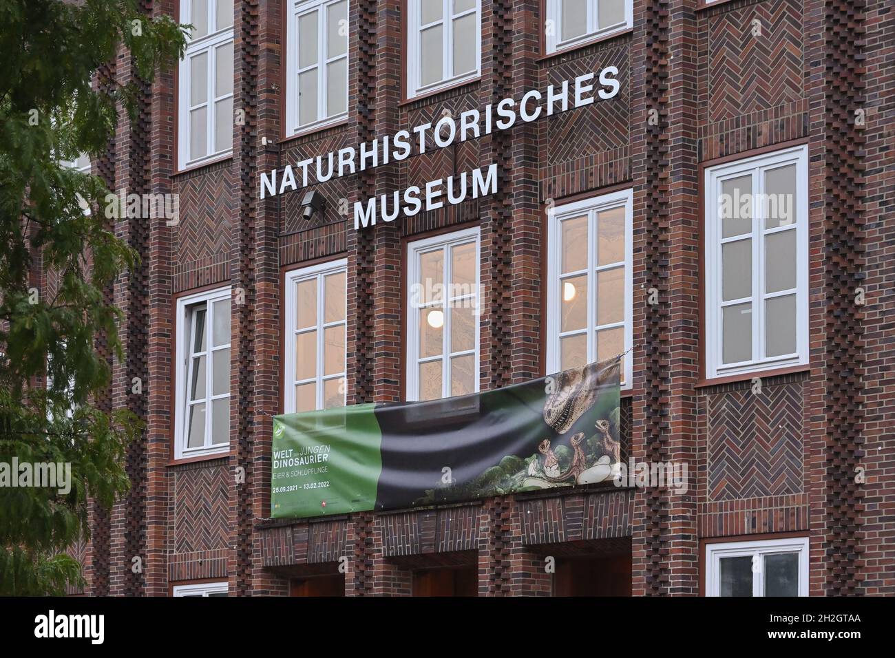 Naturhistorisches Museum Braunschweig, Staatliches Naturhistorisches Museum in Braunschweig, Deutschland. Museum für wissenschaftliche Zoologie, gegründet 1754. Stockfoto