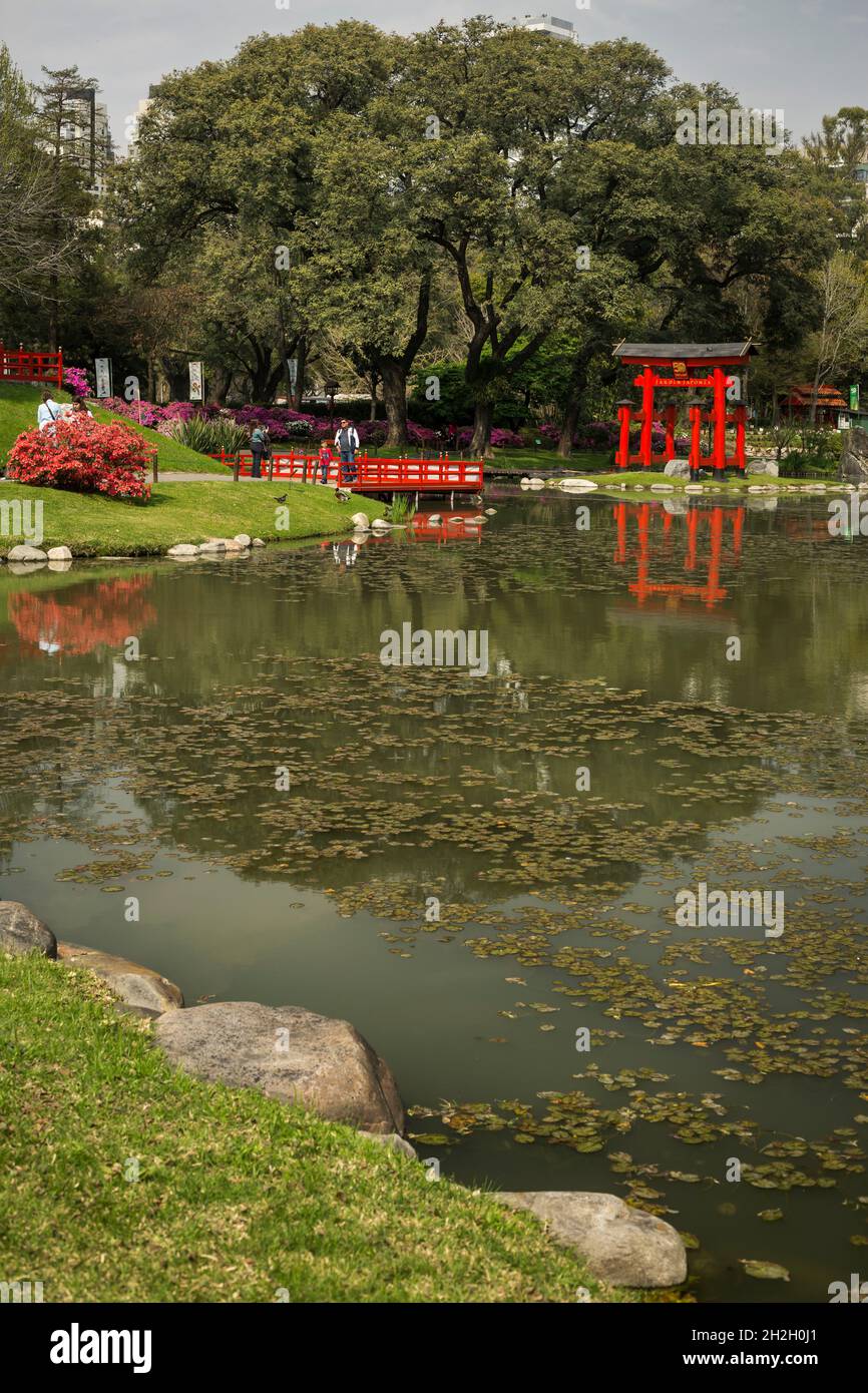 Vertikale Ansicht des Karpfensees der Japanischen Gärten von Buenos Aires mit einem roten Torii-Tor und einer Brücke im Hintergrund, Palermo, Buenos Aires Stockfoto