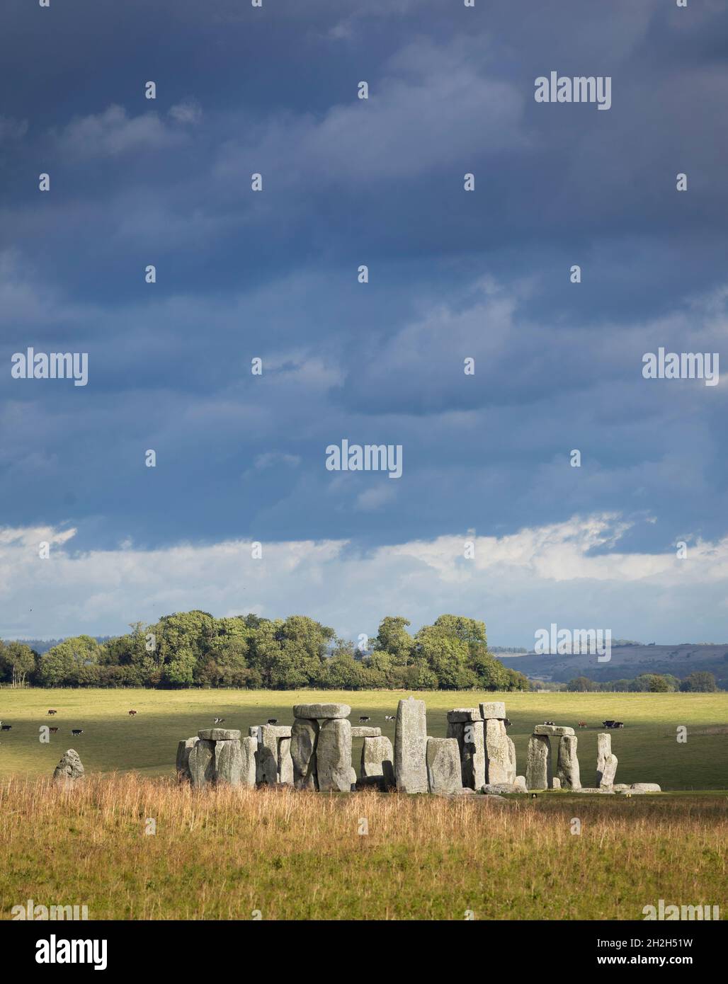 Oktober Spotlight auf Stonehenge in den Salisbury Plains, Wiltshire, Südwestengland Stockfoto