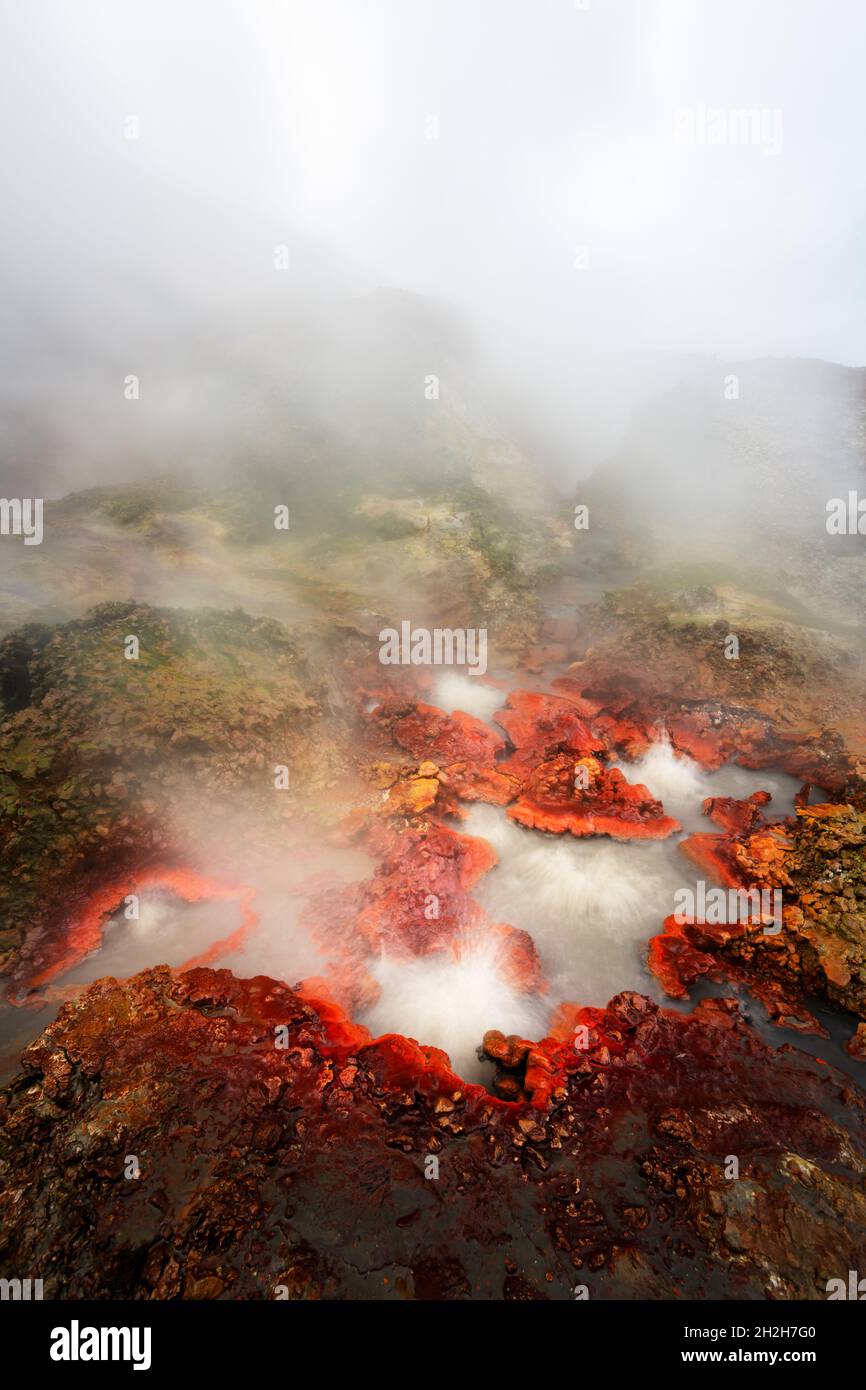 Intensive Farben und kochendes Wasser in einem geothermischen Gebiet in der Nähe des Vulkans Hengil. Stockfoto