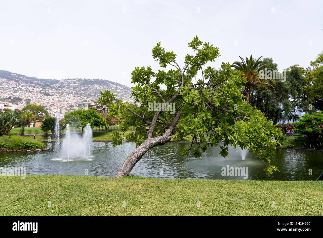 Fontänen des Santa Catarina Parks, dies ist einer der größten Parks von Funchal Stockfoto