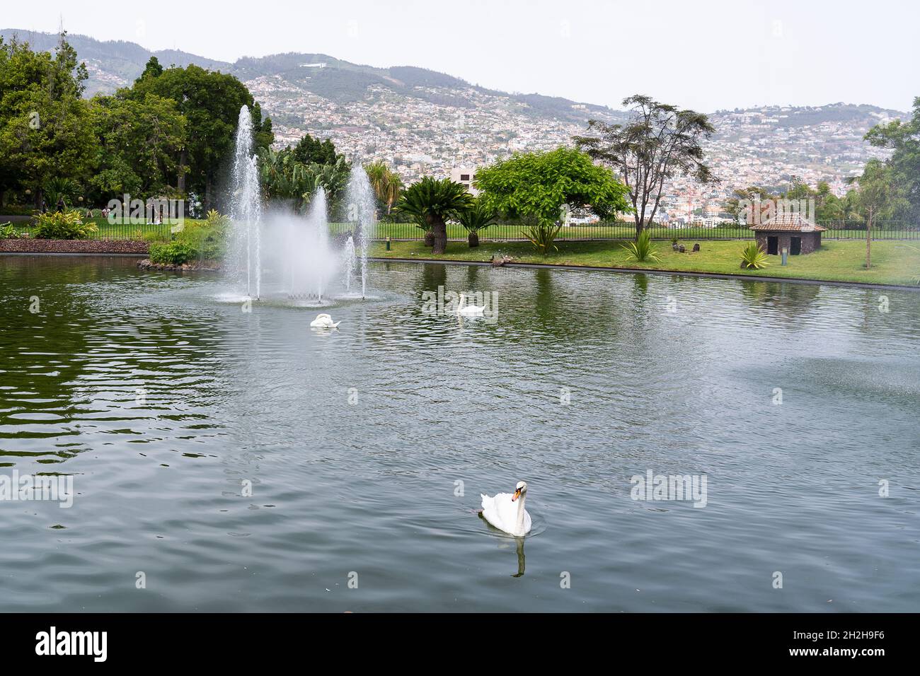 Fontänen des Santa Catarina Parks, dies ist einer der größten Parks von Funchal Stockfoto