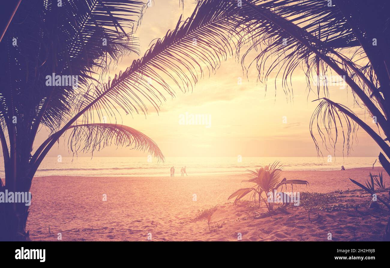 Tropischer Strand mit Palmensilhouetten bei Sonnenuntergang, Farbtonierung angewendet. Stockfoto