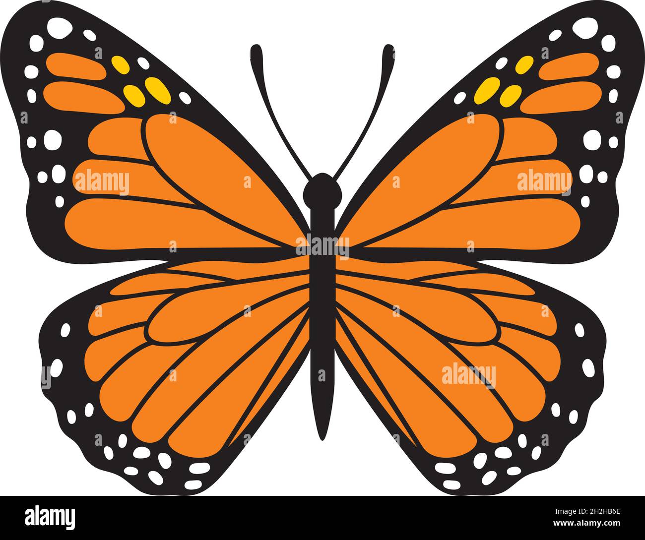 Schmetterling Insekt Farbe Vektor Illustration Stock Vektor