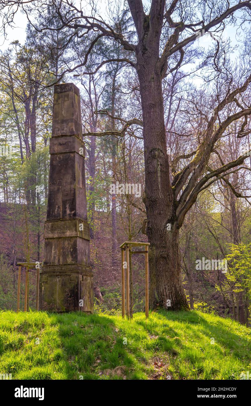 Seifersdorfer Tal, Wachau, Sachsen, Deutschland: Obelisk im Park des Seifersdorfer Tals, einem der ältesten deutschen Landschaftsparks. Stockfoto