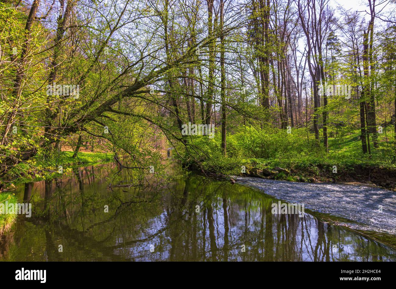 Seifersdorfer Tal, Wachau, Sachsen, Deutschland: Flusslandschaft des Großen Röder im Park des Seifersdorfer Tals. Stockfoto