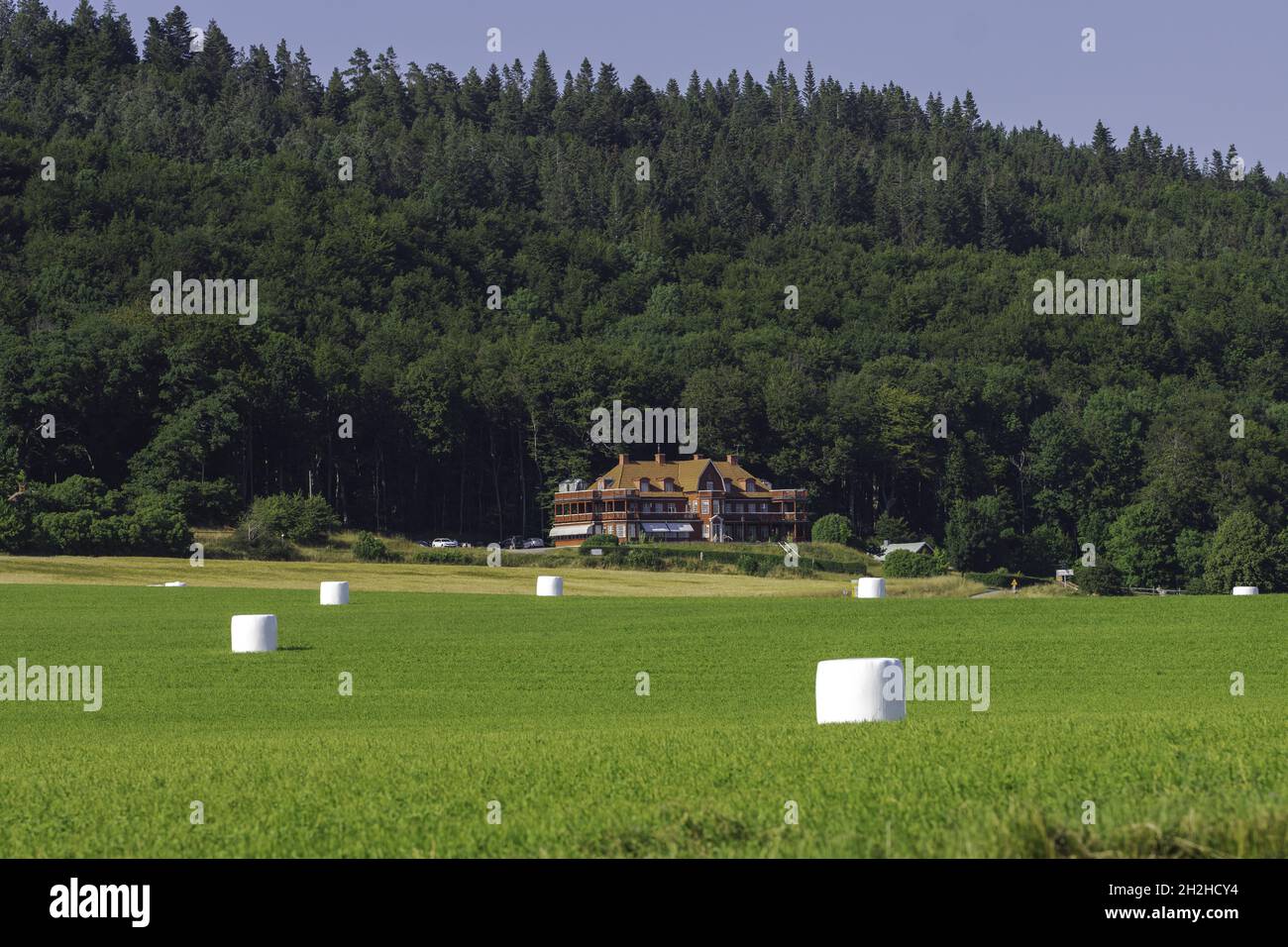 Villa neben einem Wald mit Silage auf einem grünen Farmfeld mit gelbem Vordergrund Stockfoto