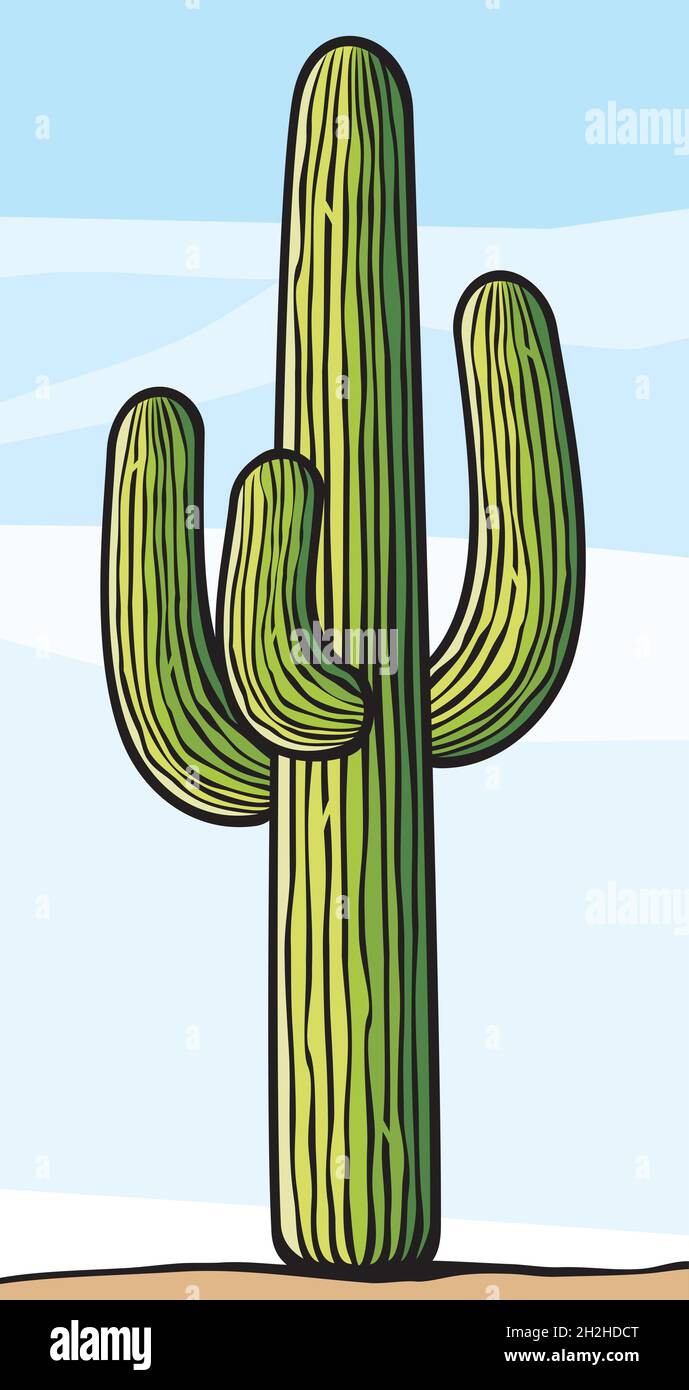 Kaktus Pflanze Vector Illustration Stock Vektor