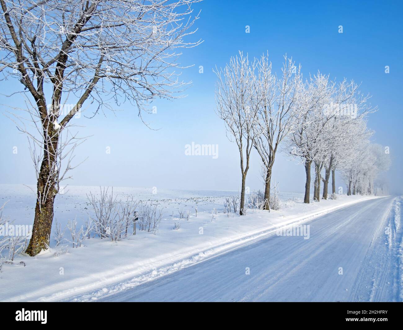 Straße durch verschneite Felder mit schneebedeckten Bäumen in Norddeutschland Stockfoto