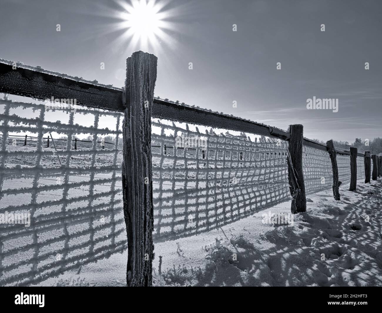 Schneebedeckter Zaun und Sonne im Winter, schwarz-weiß Schuss Stockfoto