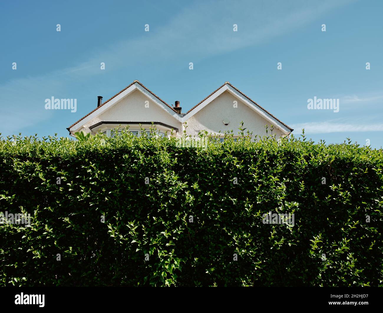 Eine typische M-förmige / Doppel-schräg / doppelt Giebeldach Vorstadthaus Architektur halb versteckte Eigenschaft hinter einem hohen grünen Garten Hecke & blauen Himmel. Stockfoto