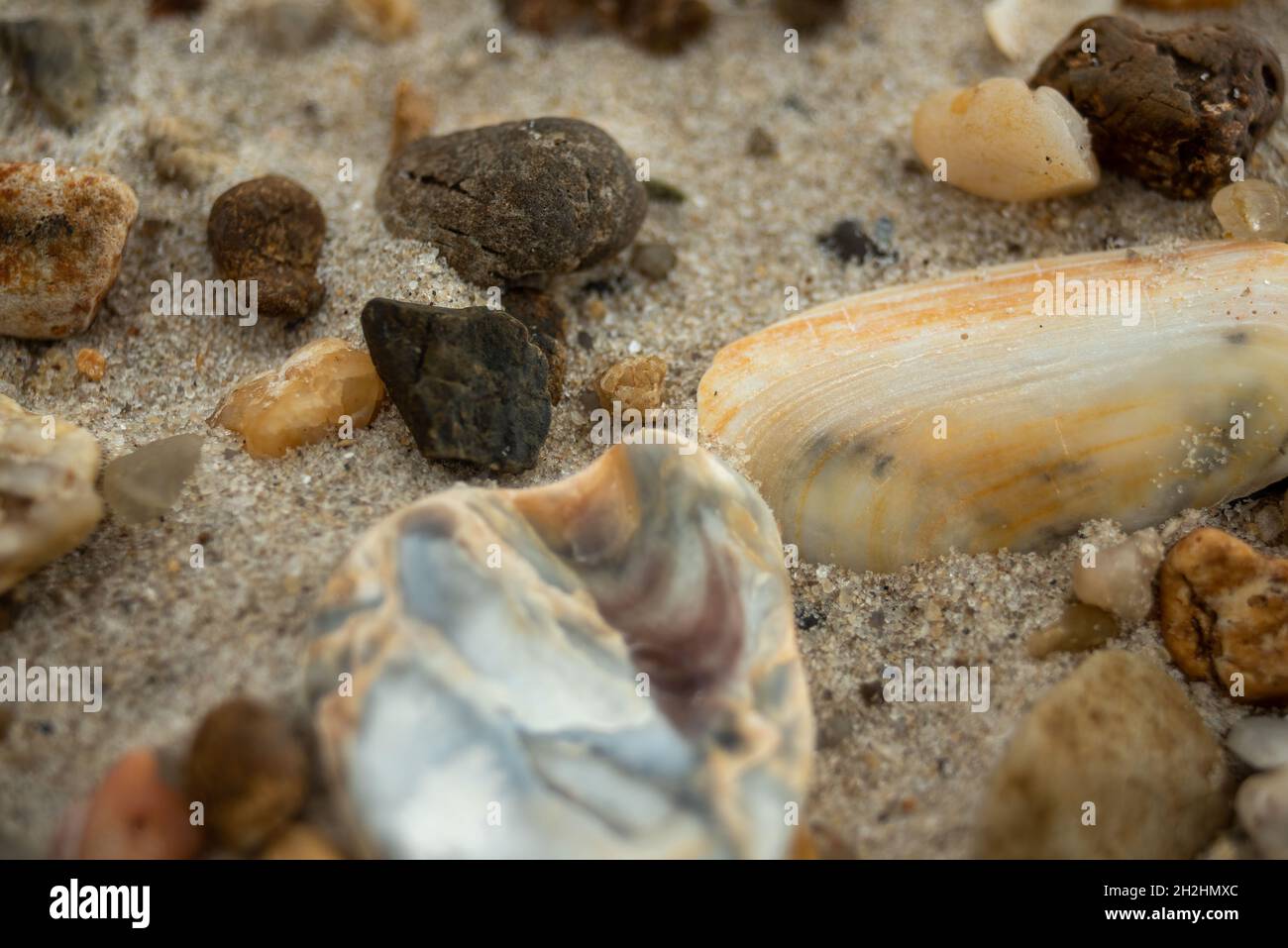 Kleine Welt der Elemente, die den Strand machen Stockfoto