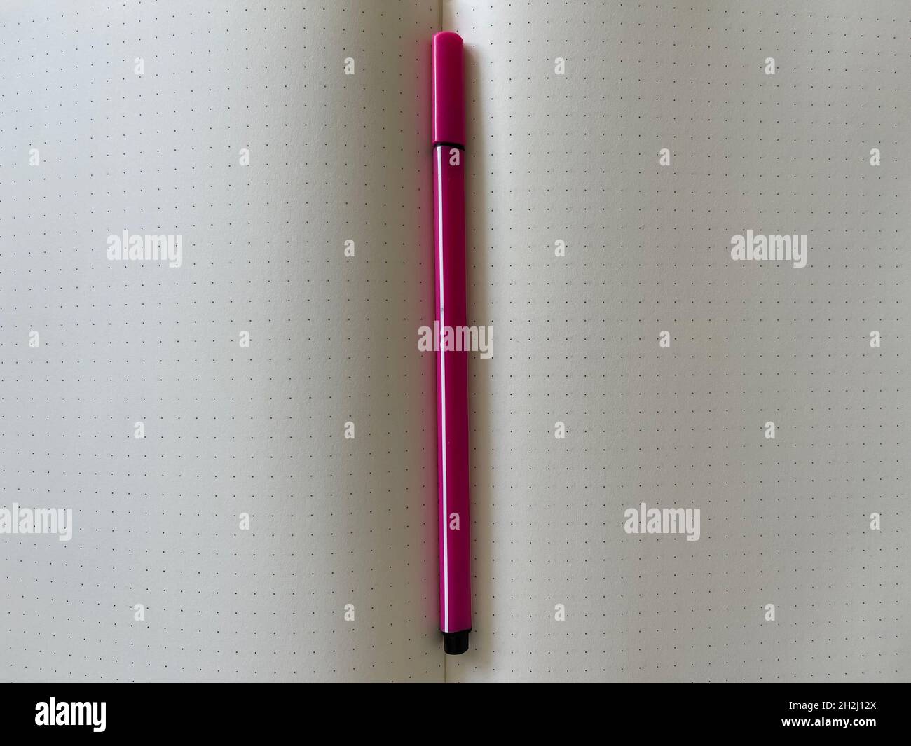 Draufsicht Nahaufnahme eines rosa Stiftes zwischen den Seiten eines Notizbuchs abgeschnitten Stockfoto