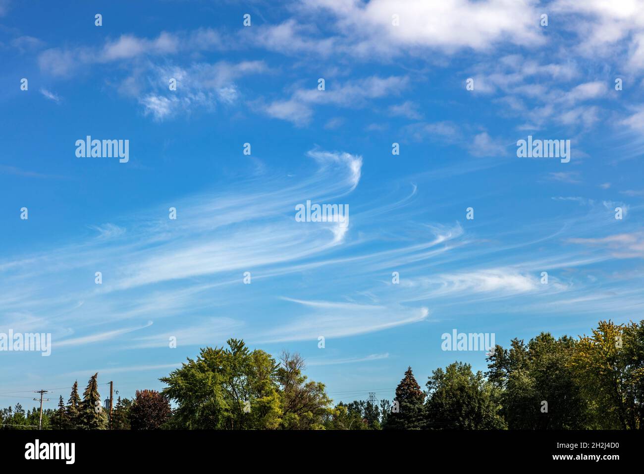 Cirrus, oder leicht bewölktes Wetter, im Mittleren Westen der USA, von James D Coppinger/Dembinsky Photo Assoc Stockfoto