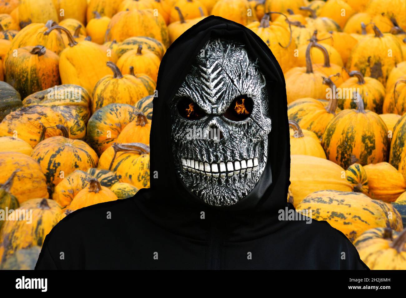 Nahaufnahme des grimmigen Reaper. Mann in Totenmaske mit Feuerflamme in den Augen auf vielen orangen Kürbissen Hintergrund. Faschingskostüm, gruselige Zähne. „Hallow“ Stockfoto
