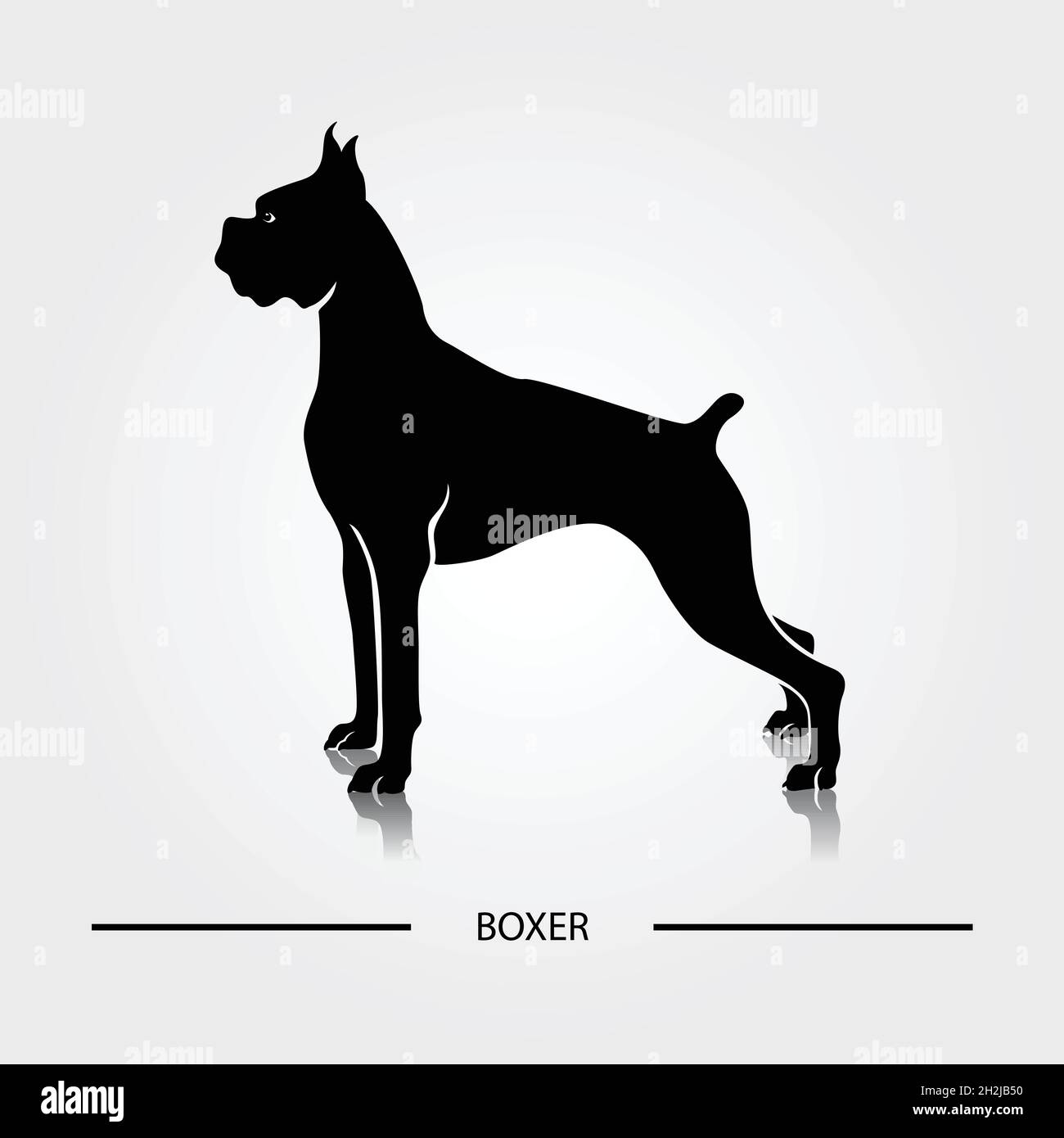 Boxer Hund Silhouette Vektor Illustration. Schwarze Silhouetten von Hunderassen. Stock Vektor