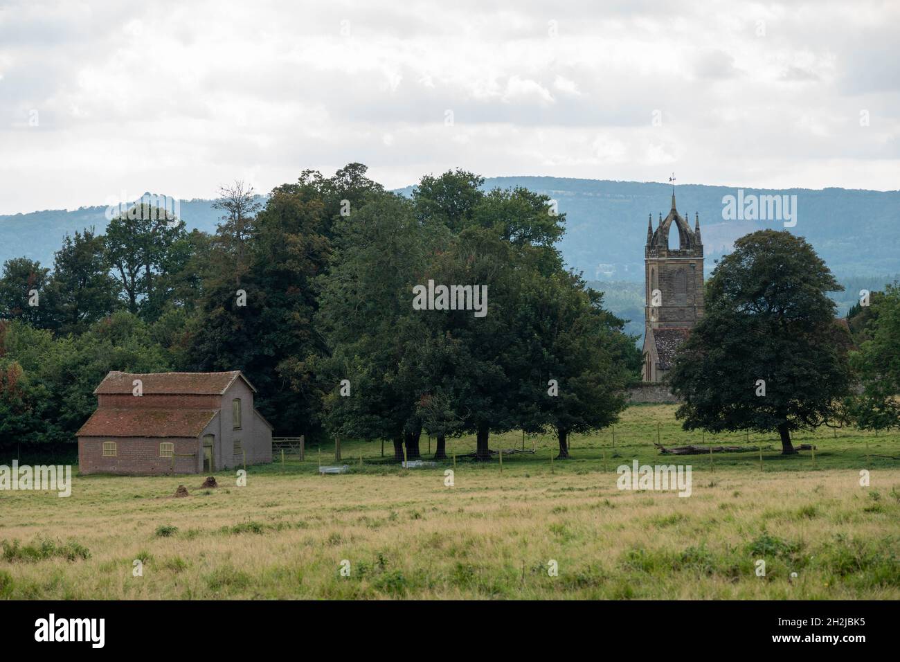 Blick auf den Scots Crown Tower of All Halloows Church Tillington West Sussex England vom Petworth Park Stockfoto