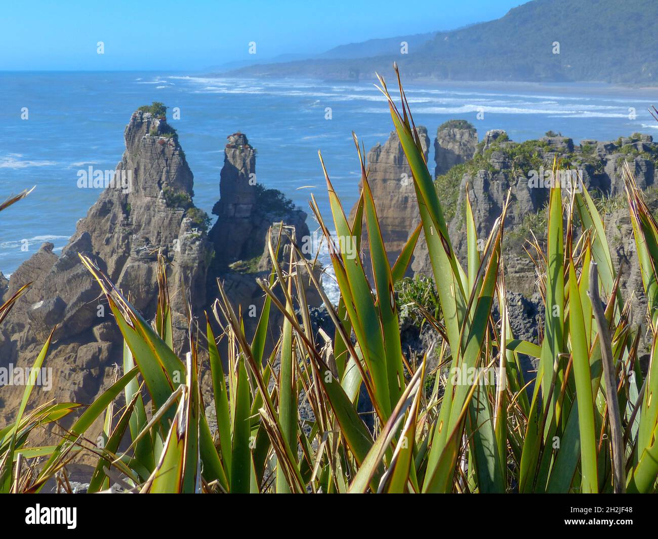 Weißen Kalkstein, Felsformationen und feinen Sandstrand an der Cathedral Cove auf der Coromandel Halbinsel in Neuseeland, Nordinsel Stockfoto