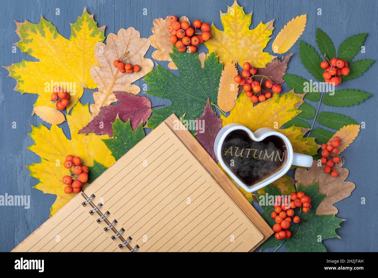 Herzförmige Tasse schwarzen heißen Kaffees mit Dampf, leeres liniertes Notizbuch und Herbstblättern auf blauem Holzhintergrund. Herbstdekor, Herbststimmung, Herbststimmung Stockfoto