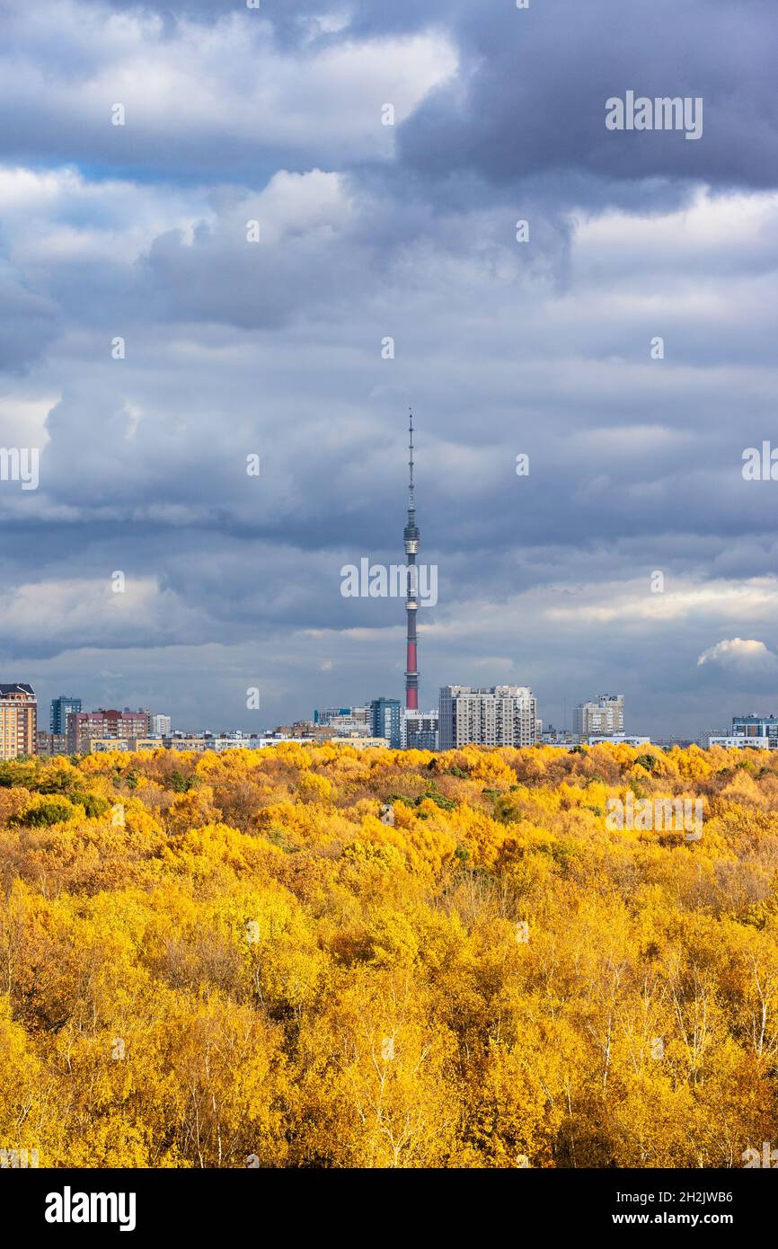 Dunkelgraue Regenwolken in blauem Himmel über üppig gelben Wald, der von der Sonne und einer Stadt mit Fernsehturm am Horizont am Herbsttag vor Regen beleuchtet wird Stockfoto