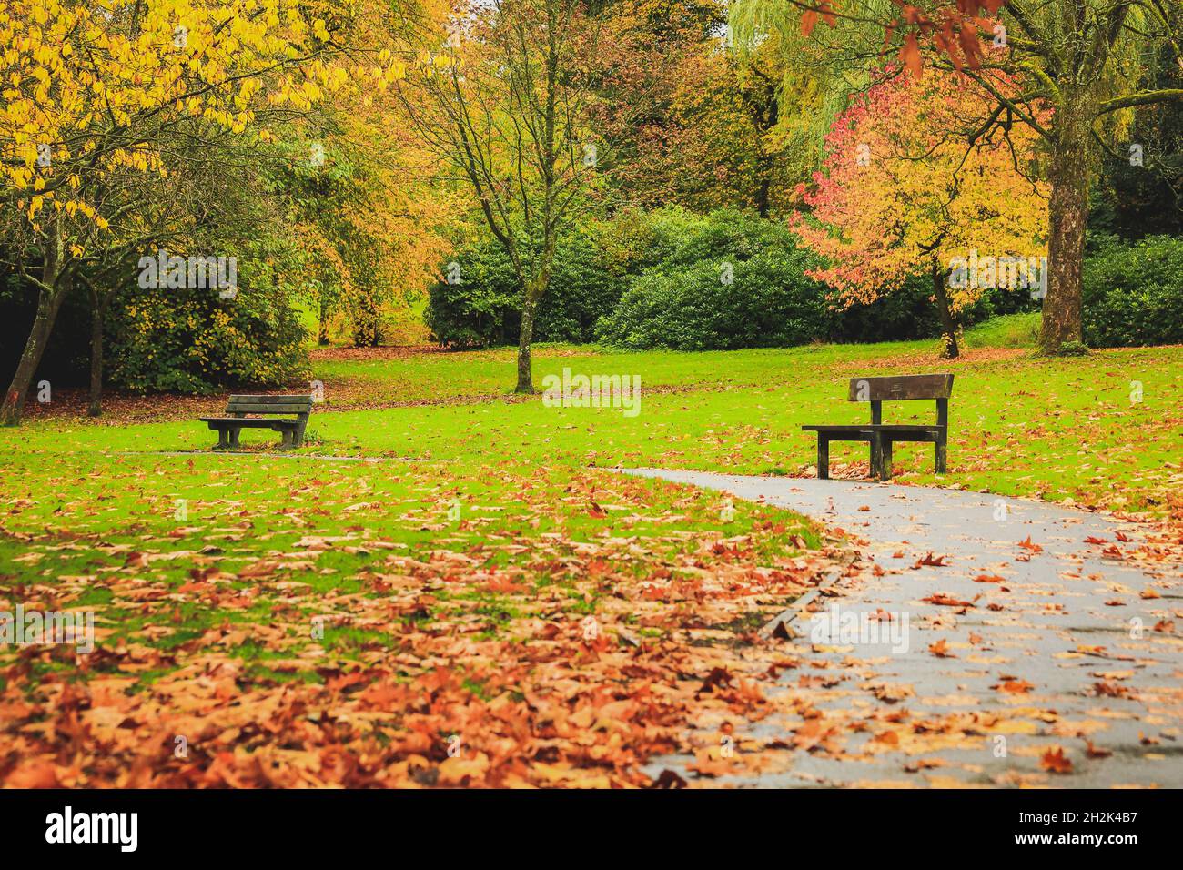 Wunderschöne Herbstbäume und Blätter in voller Farbe im Cheetham Park Stalybridge Stockfoto