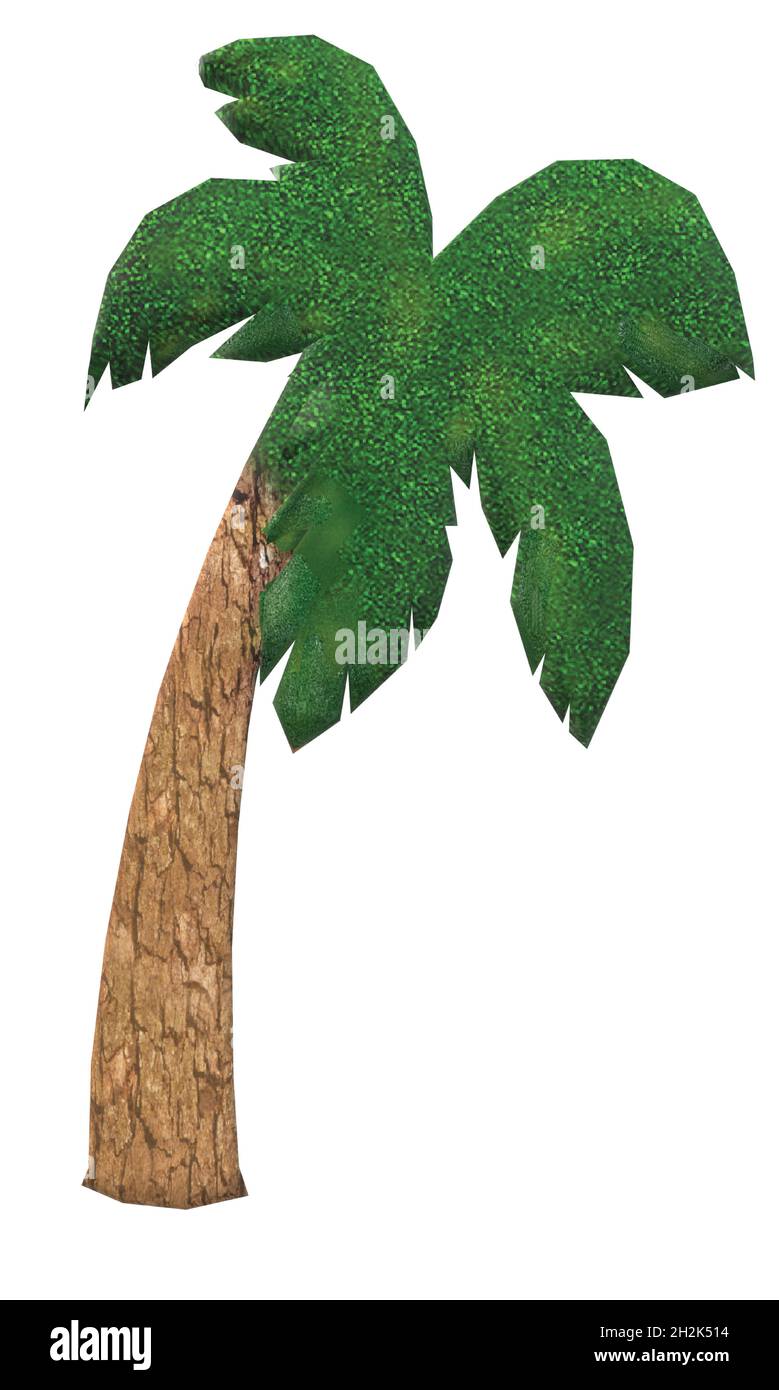 Immergrüner Grüner Palmenbaum Stock Vektor