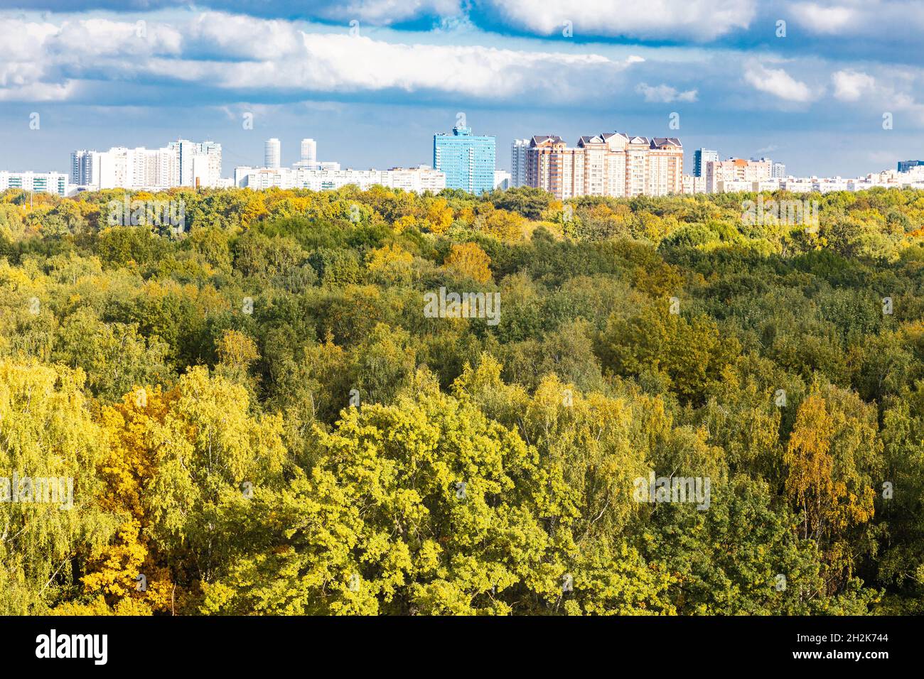 Blick über den vergilbten Wald und die moderne Stadt am Horizont am sonnigen Septembertag Stockfoto