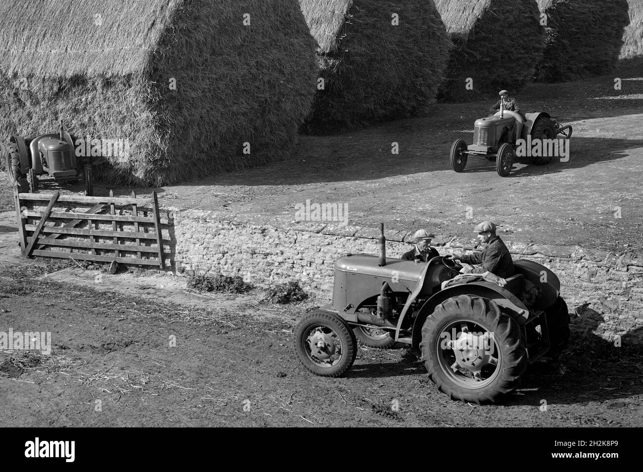 Landarbeiter mit Traktoren und aufgeschlagen Heuhaufen Großbritannien der 1950er Jahre Stockfoto