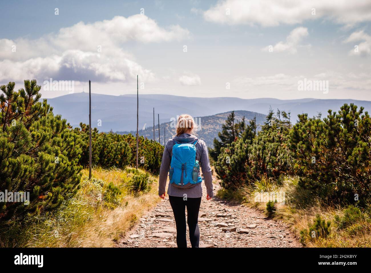 Alleinwanderer beim Wandern auf dem Wanderweg in den Bergen. Frau mit Rucksack Wandern in der natürlichen Parklandschaft Jeseniky, Tschechische Republik. Sportlicher, aktiver Lebensstil Stockfoto