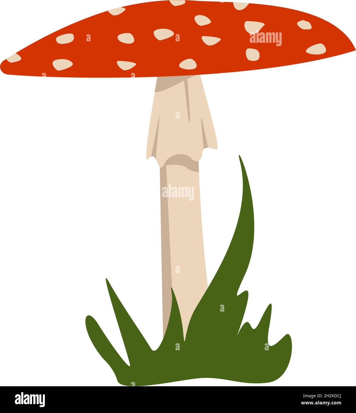 Amanita Pilze mit roten Mützen und weißen Flecken. Stock Vektor