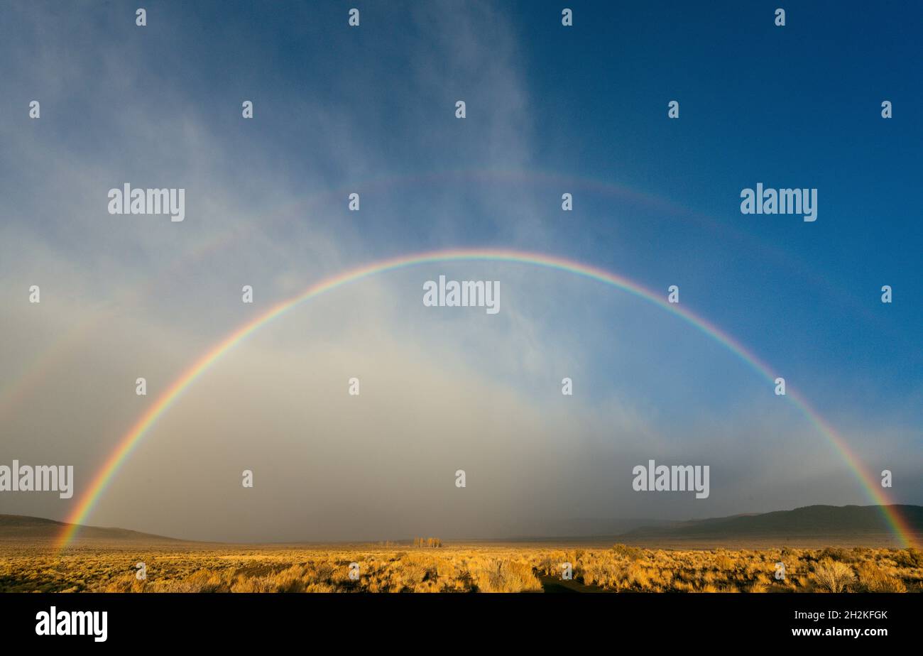 Double Rainbow, östlichen Sierra, Mono Basin National Forest Scenic Area, Inyo National Forest, Kalifornien Stockfoto