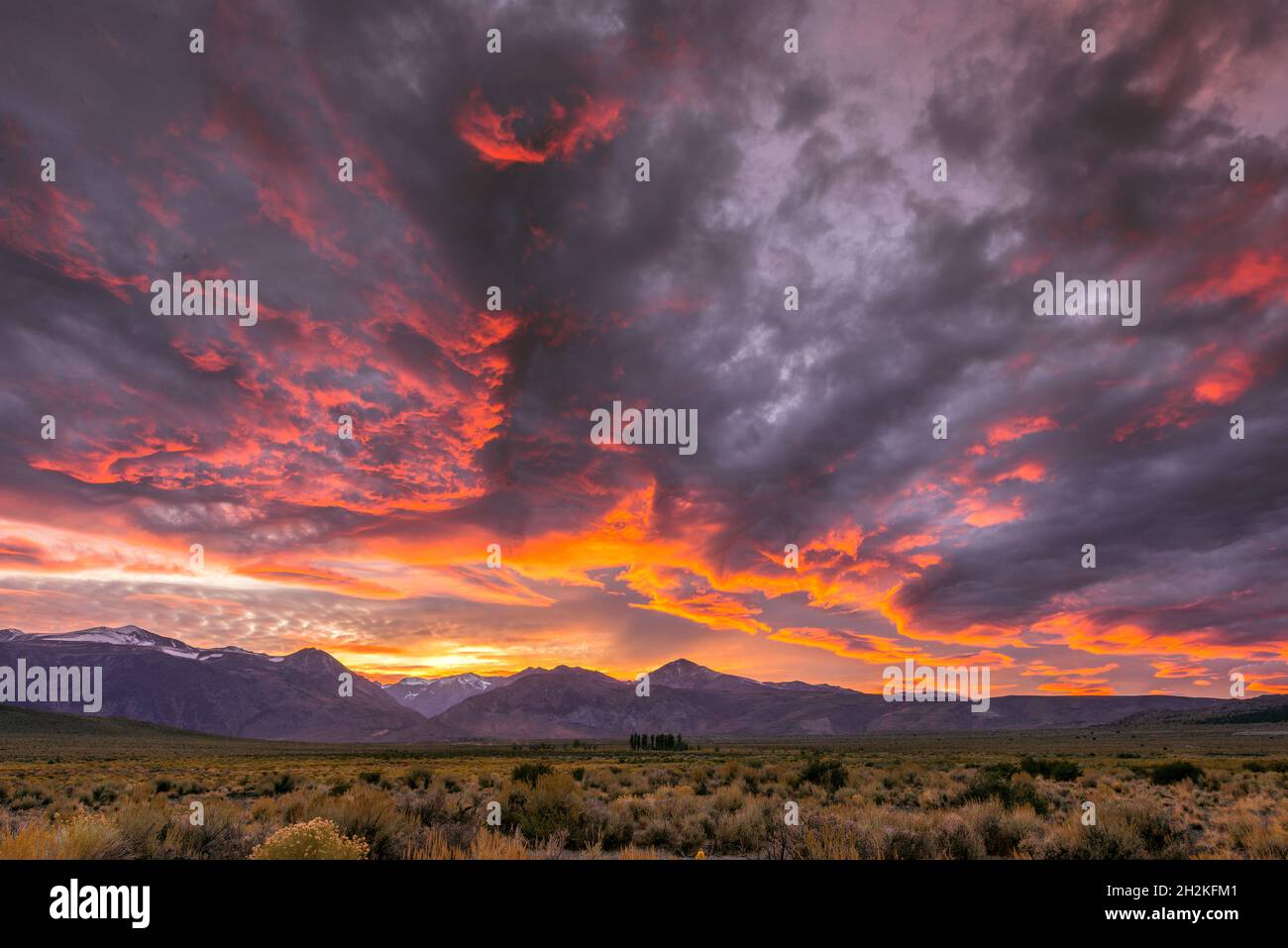 Sonnenuntergang, Mono Basin National Forest Scenic Area, Eastern Sierra, Inyo National Forest, Kalifornien Stockfoto