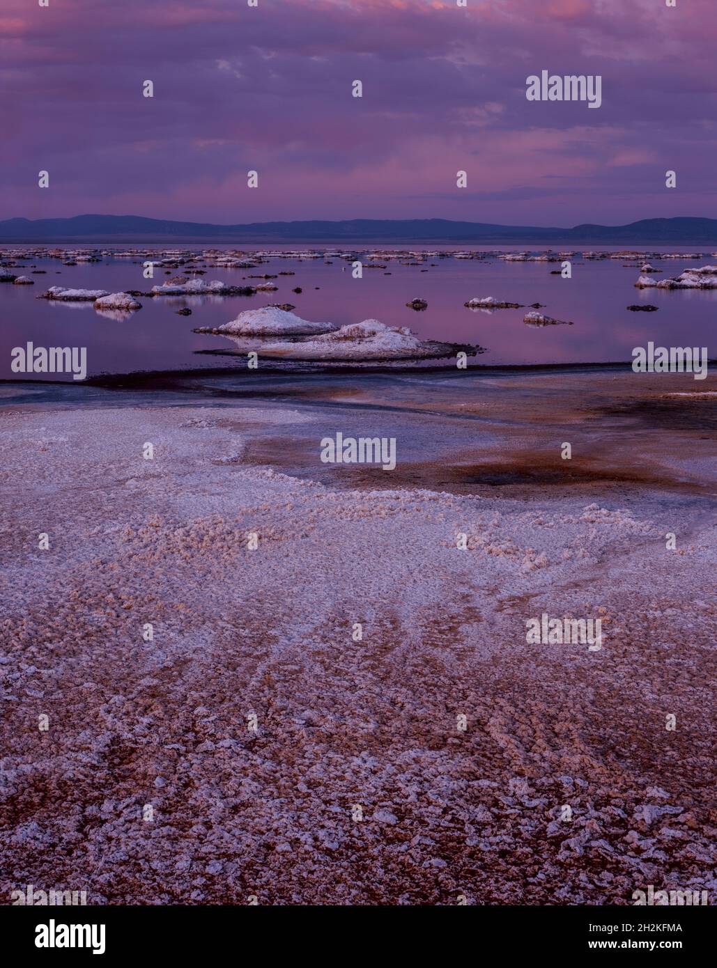 Dämmerung, Salt Flat, Mono Lake, Mono Basin National Forest Scenic Area, Inyo National Forest, Eastern Sierra, Kalifornien Stockfoto