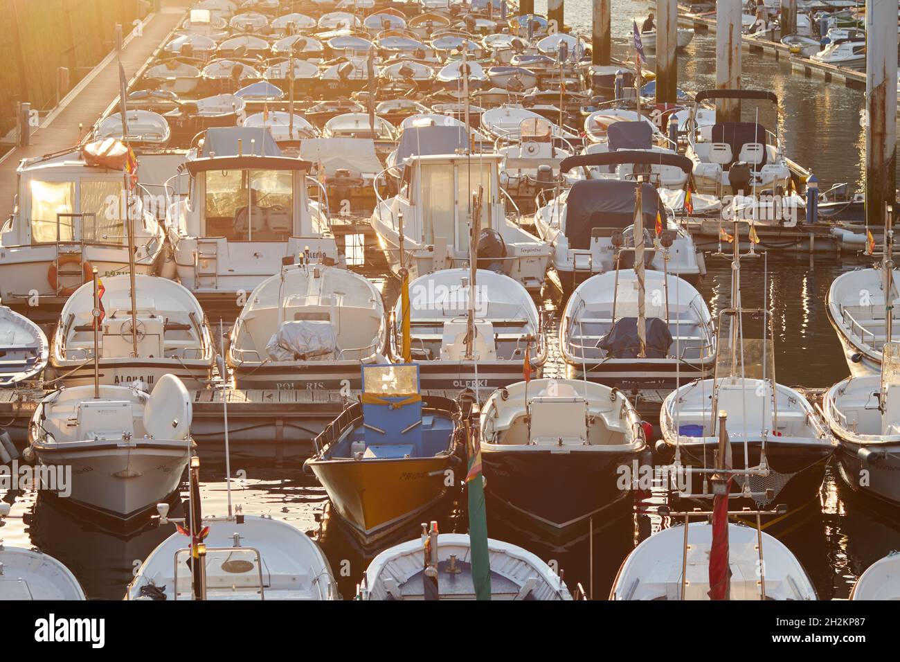 Boote, die im Freizeithafen von San Sebastian (Euskadi, Spanien) mit goldenem Licht getaucht wurden. Stockfoto