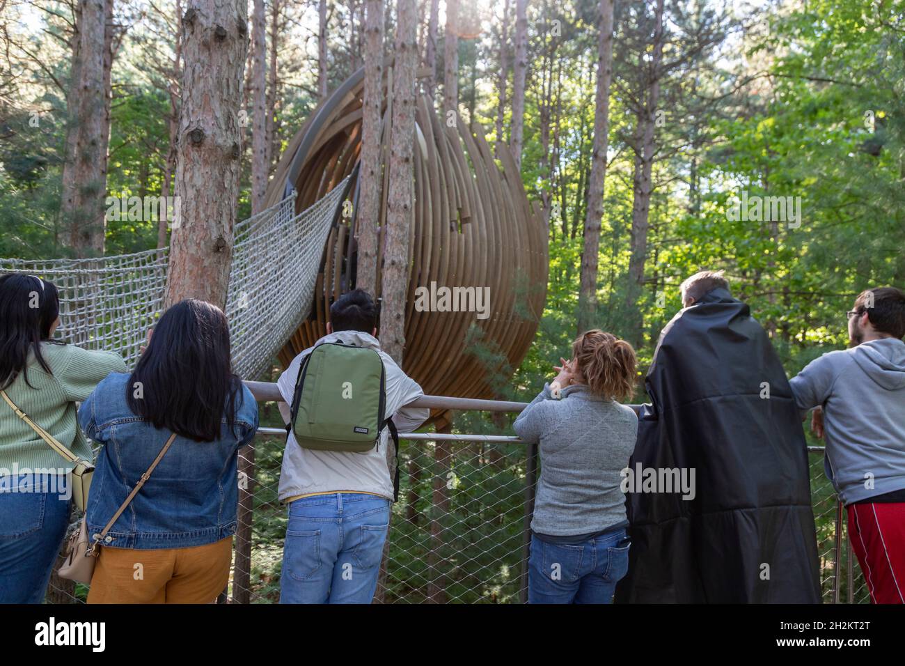 Midland, Michigan - The Canopy Walk at Dow Gardens. Die Wanderung ist 40 Meter über dem Boden und 1,400 Meter lang. Es ist der Whiting Forest von Dow Gardens. Stockfoto