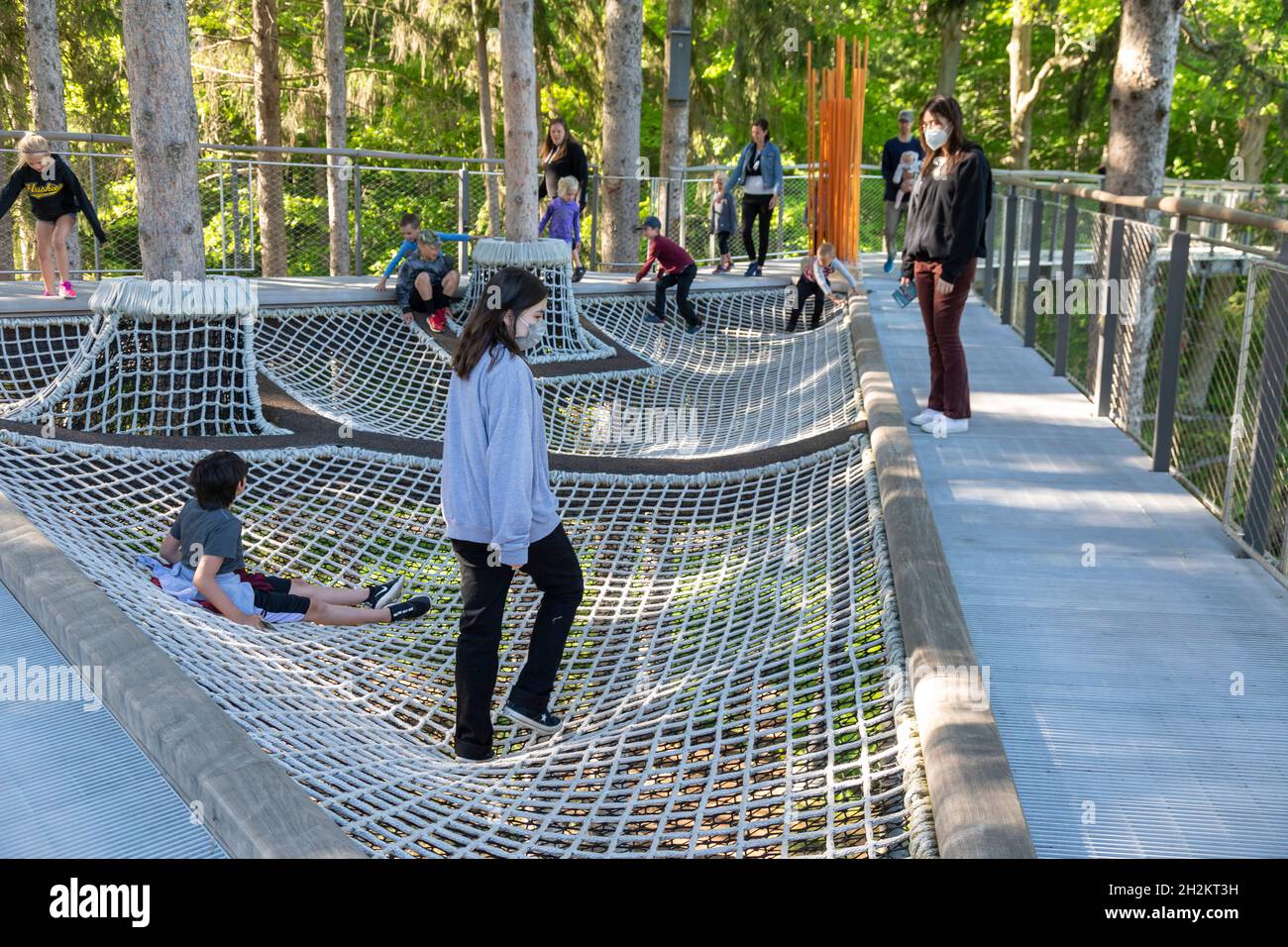 Midland, Michigan - The Canopy Walk at Dow Gardens. Die Wanderung ist 40 Meter über dem Boden und 1,400 Meter lang. Es ist der Whiting Forest von Dow Gardens. Stockfoto