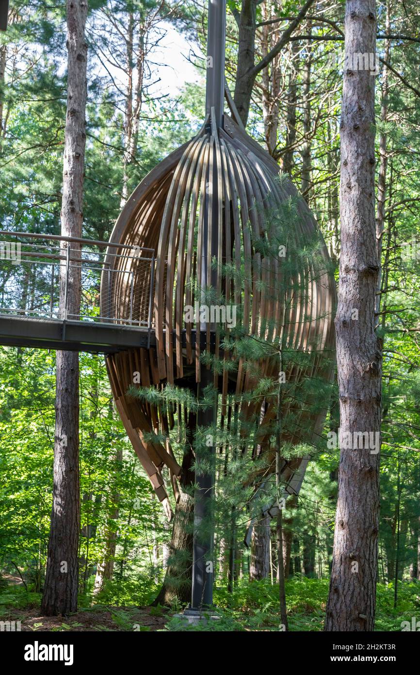 Midland, Michigan - The Canopy Walk at Dow Gardens. Die Wanderung ist 40 Meter über dem Boden und 1,400 Meter lang. Es ist der Whiting Forest von Dow Gardens. Stockfoto