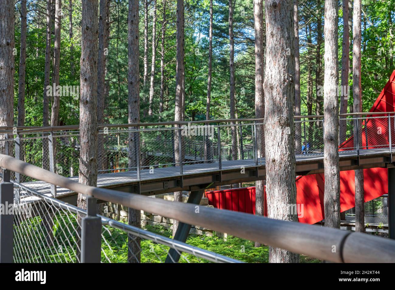 Midland, Michigan - The Canopy Walk at Dow Gardens. Die Wanderung ist 40 Meter über dem Boden und 1,400 Meter lang. Es ist der Whiting Forest von Dow Gardens. Stockfoto