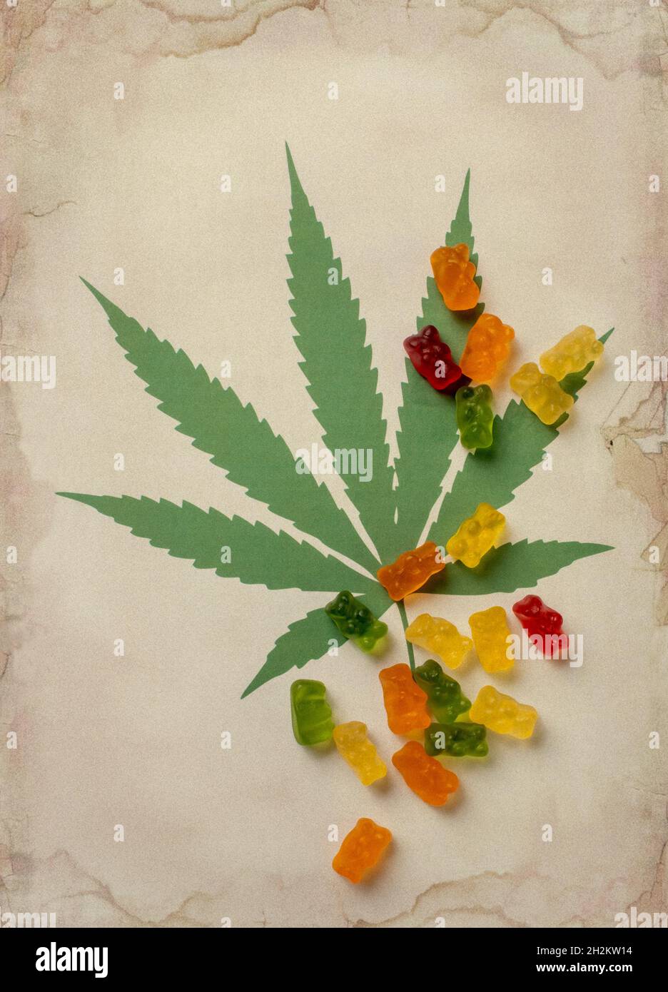Cannabis infundiert Gummibärchen, konzeptuelles Bild Stockfoto