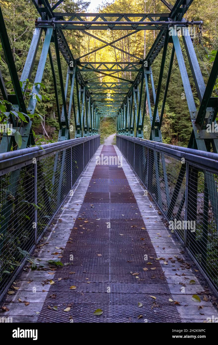 Brücke über einen Flusslauf auf einem Wanderweg in der Nähe des Seymour Lake. Stockfoto