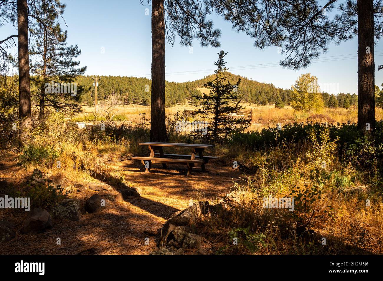 Bank und Picknicktisch in ruhiger Natur Stockfoto