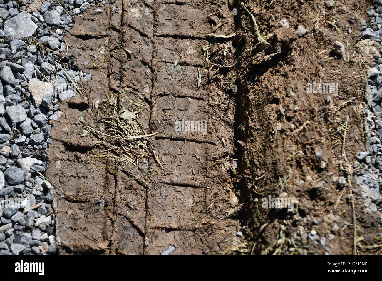 Reifenspuren im Schlamm auf einer Zementstraße. Stockfoto