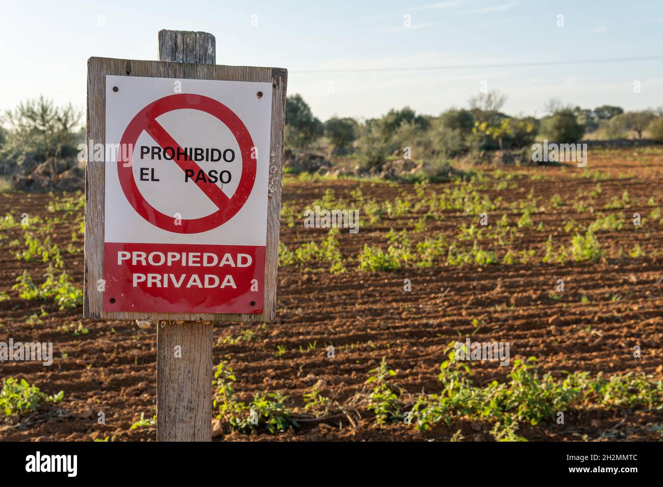 Nahaufnahme eines Privatgrundstücks und kein Schild, auf Spanisch geschrieben, in einem ländlichen Feld im Morgengrauen Stockfoto