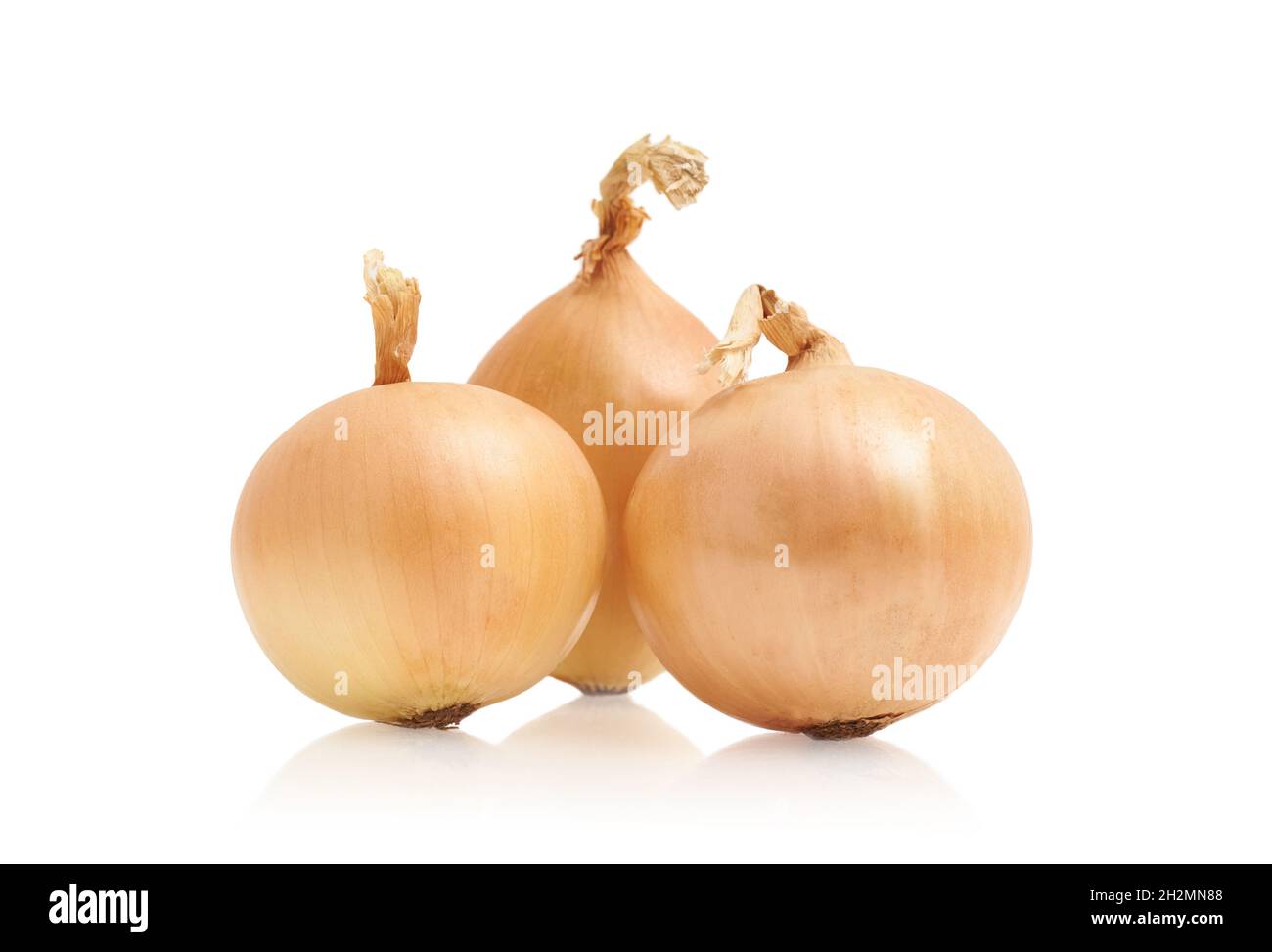 Frische und reife Zwiebel auf weißem, isoliertem Hintergrund. Stockfoto