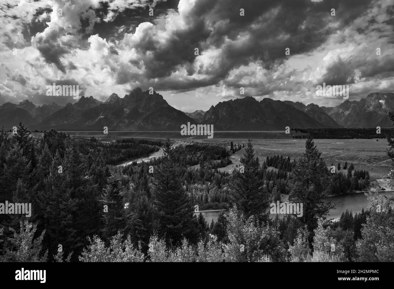 Jenny Lake Logs Stockfoto