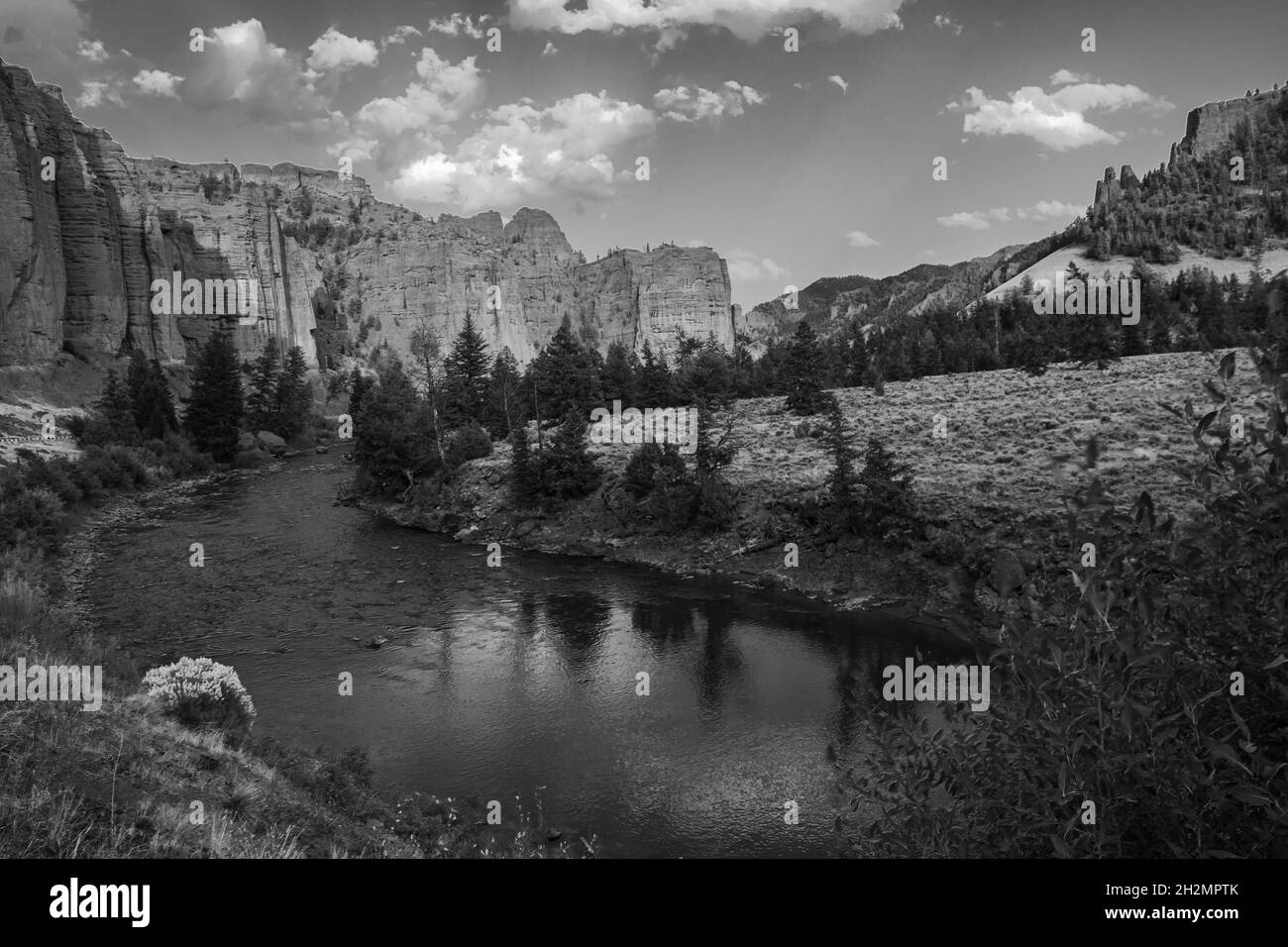 Jenny Lake Logs Stockfoto