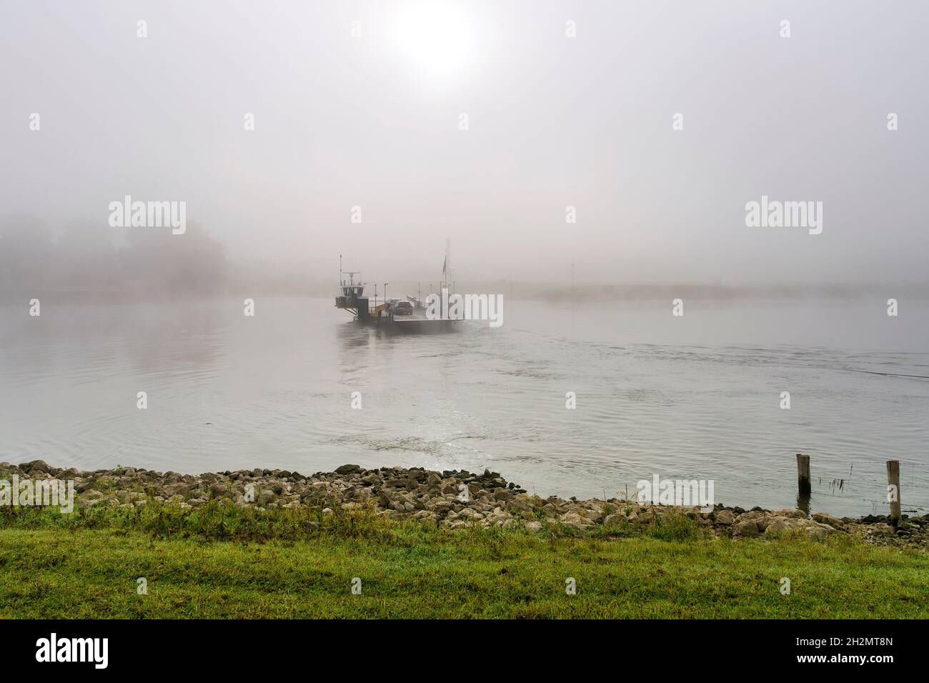 Fähre überquert den Fluss IJssel an einem nebligen Herbstmorgen bei Sonnenaufgang. Stockfoto