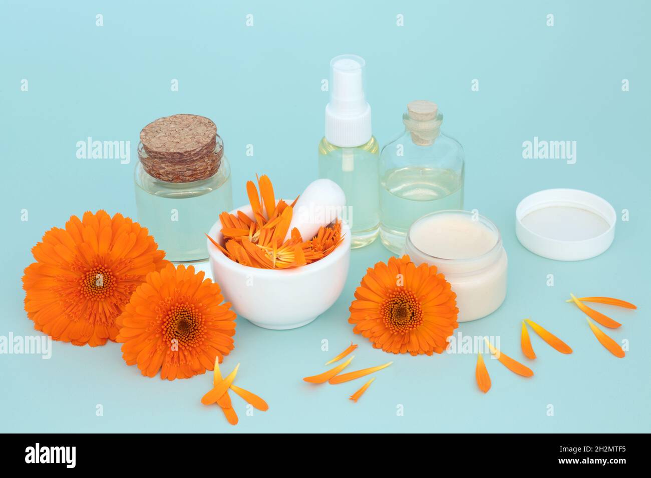 Calendula natürliche Hautpflege Vorbereitung mit Blumen, Feuchtigkeitscreme, Ölflaschen. Heilt Wunden, Akne, Ekzeme, stimuliert Kollagen. Stockfoto